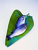 Catfish on banana leaf