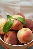 Hand holding bowl of fresh peaches