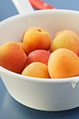 Pan with handle full of fresh apricots