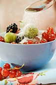 Sprinkling sugar over bowl of mixed fresh berries