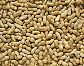 Peanuts (filling the picture)
