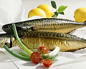 Smoked mackerel