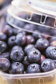 Blueberries in plastic container