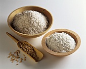 Wheat grains, wheat flour and wholemeal wheat flour