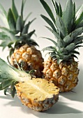 Baby pineapple