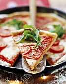 Pizza mit Tomaten und Rucola