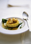 Fried scallops on soba noodles in bonito consommé