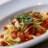 Spaghetti mit frischen Tomaten und Mozzarella