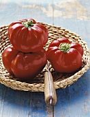 Tomatenpaprika