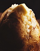 Baked potato with knob of butter