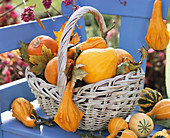 Ornamental gourds in wicker basket