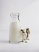 A bottle of milk with a toy cow