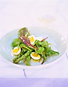 Salad with green asparagus, chard and quail's eggs
