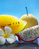 Still life with pitahaya, yellow watermelon & nashi fruit