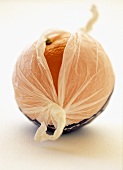 An orange wrapped in paper