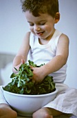 Kleiner Junge mischt Feldsalat mit seinen Händen