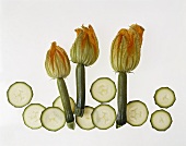 Courgettes with flowers and courgette slices