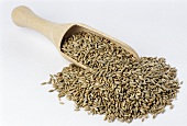 Rye grains on wooden scoop (Secale cereale)