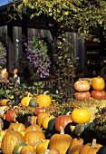 Pumpkins in front of a house
