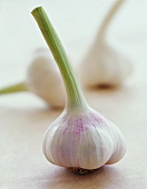 Garlic bulbs