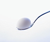 A white egg on a spoon against a white background