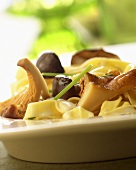 Ribbon pasta with mushrooms