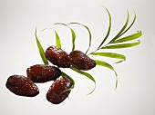 Five dried dates and a palm leaf