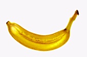 Slice of banana with peel, backlit
