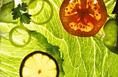 Blattsalat, Tomaten- und Zitronenscheiben im Durchlicht