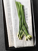 Garlic chives lying on Chinese newspaper