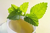 Lemon balm tea and fresh lemon balm