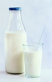 Milch in Flasche und im Glas mit Trinkhalm