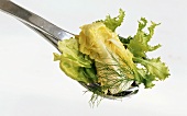 Blattsalat mit Dill auf Salatbesteck