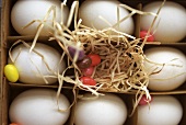 Hen's eggs with straw and sugar eggs in box