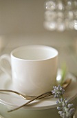 Coffee cup with saucer