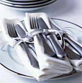 Napkins with cutlery