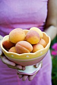 Hands holding a bowl of apricots