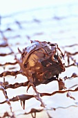 Chocolate truffle on a cake rack