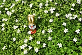 A chocolate Easter Bunny in a flowery meadow