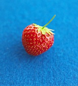 Eine Erdbeere auf blauem Untergrund