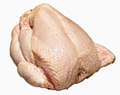 A raw chicken on white background