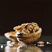 A walnut with broken shell
