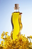 A bottle of rape seed oil with rape flowers
