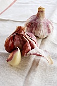 Two fresh garlic bulbs, one half-peeled