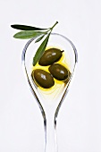 Green olives in olive oil with olive sprig