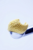 Vanilla ice cream on ice cream scoop
