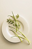 Chives and dill scattered over a plate