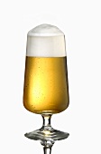 A Pils beer in glass