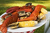 Lobster, clams and sweetcorn
