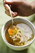 Chicken noodle soup with vegetables